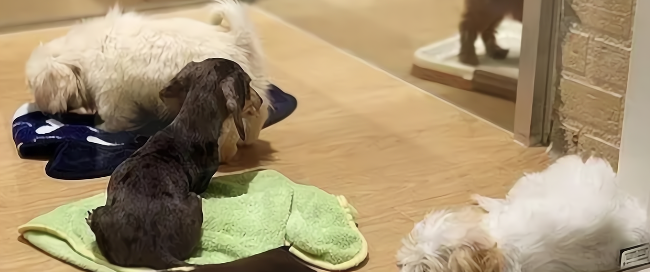 恒峰g22·(中国游)最新官方网站