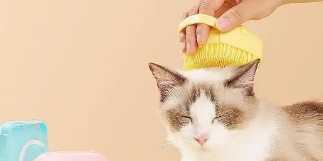 恒峰g22·(中国游)最新官方网站