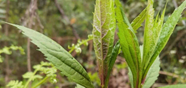 恒峰g22·(中国游)最新官方网站