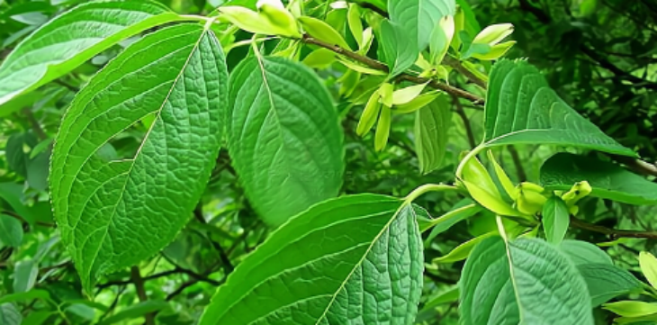恒峰g22·(中国游)最新官方网站