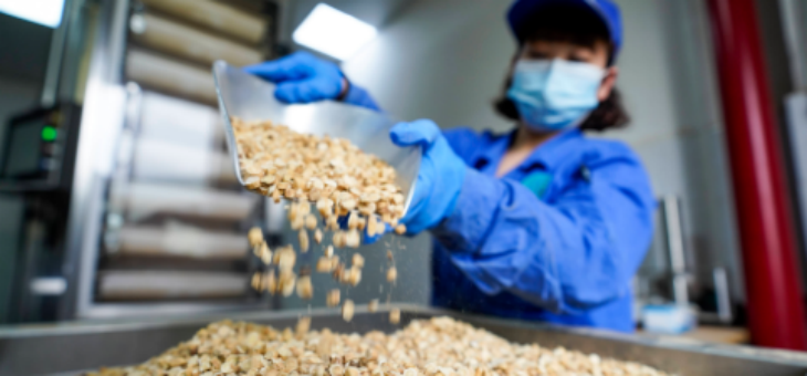 恒峰g22·(中国游)最新官方网站