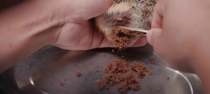 恒峰g22·(中国游)最新官方网站