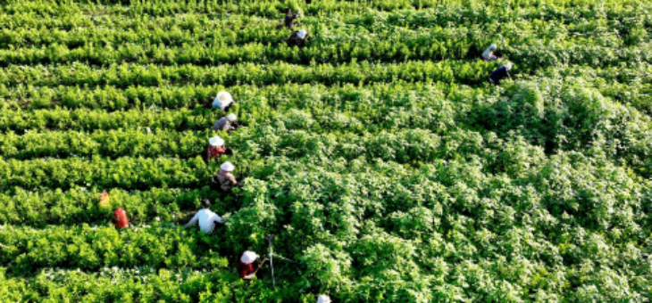 恒峰g22·(中国游)最新官方网站