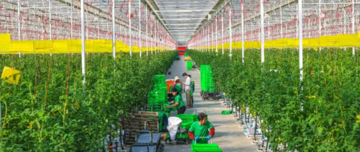 恒峰g22·(中国游)最新官方网站