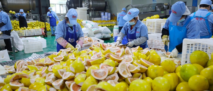 恒峰g22·(中国游)最新官方网站