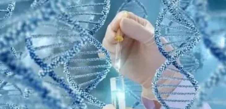 恒峰g22·(中国游)最新官方网站