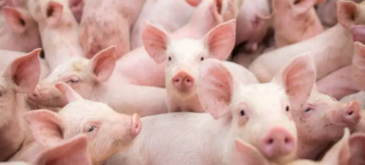 恒峰g22·(中国游)最新官方网站