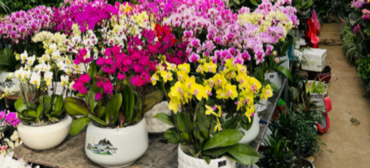 恒峰g22·(中国游)最新官方网站