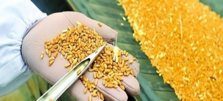 恒峰g22·(中国游)最新官方网站