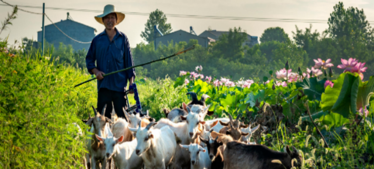 恒峰g22·(中国游)最新官方网站