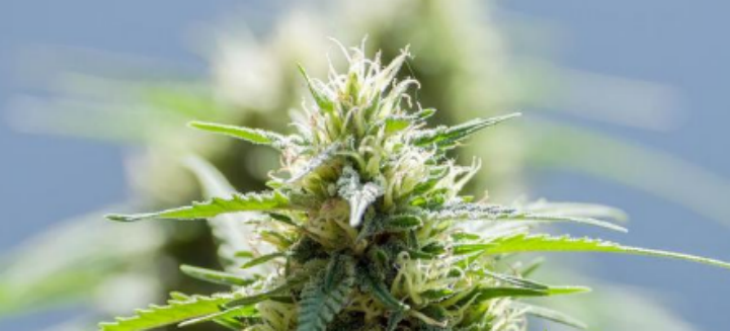 恒峰g22·(中国游)最新官方网站