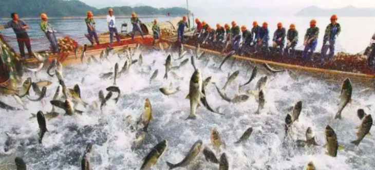 恒峰g22·(中国游)最新官方网站