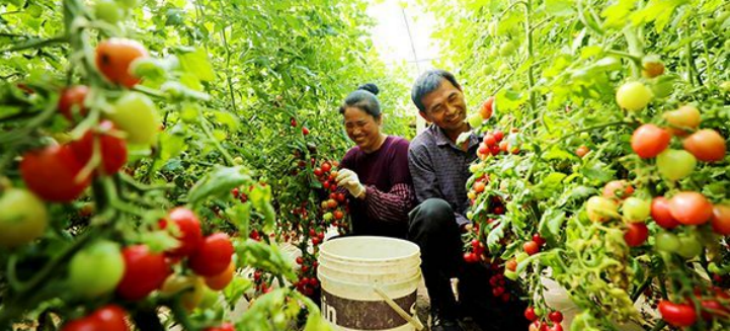 恒峰g22·(中国游)最新官方网站