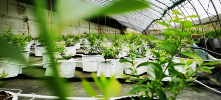 恒峰g22·(中国游)最新官方网站