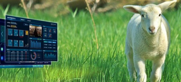 恒峰g22·(中国游)最新官方网站