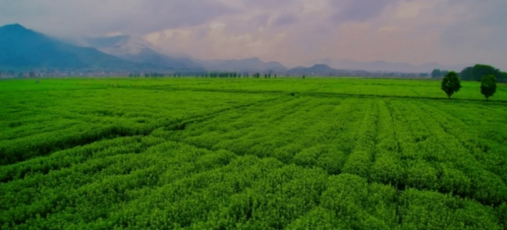 恒峰g22·(中国游)最新官方网站