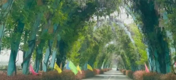 恒峰g22·(中国游)最新官方网站