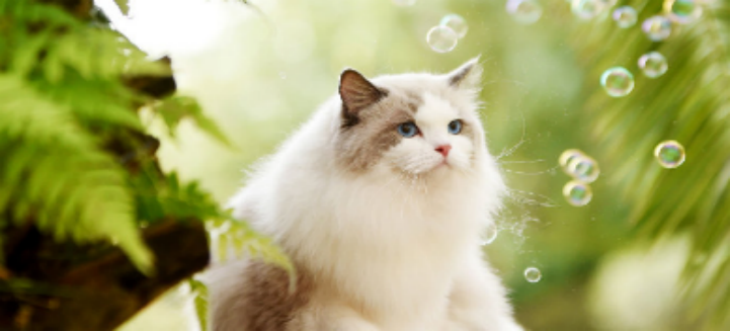 恒峰g22·(中国游)最新官方网站