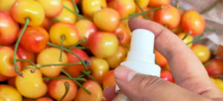 恒峰g22·(中国游)最新官方网站